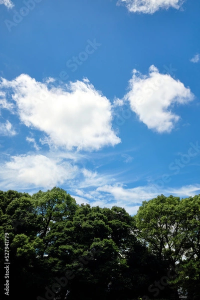 Fototapeta Minimalist Cloudy Sky with Green Trees