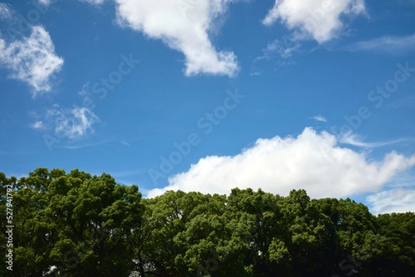 Fototapeta Minimalist Cloudy Sky with Green Trees