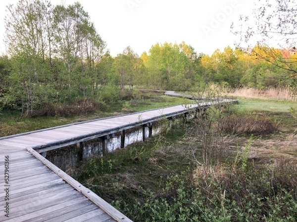 Fototapeta 平岡公園