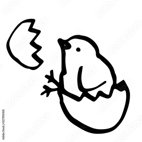 Obraz A simple hand drawn chick icon