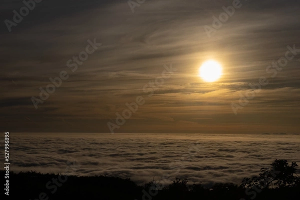 Fototapeta 雲海と朝日