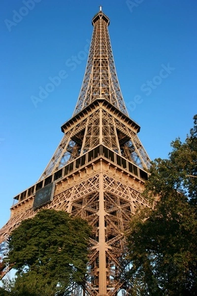 Fototapeta The Eiffel Tower by sunset, diagonal view