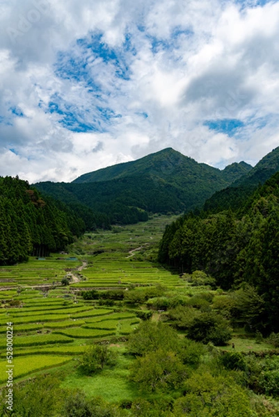 Obraz 四谷の千枚田 ＠愛知, 新城