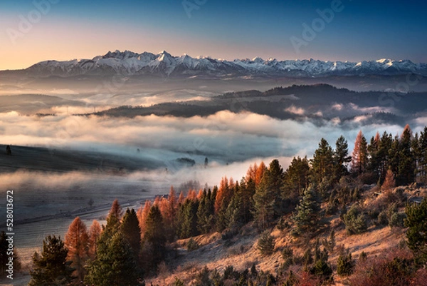 Obraz December, view from the Pieniny Mountains - Mount Wżdżar on the Tatra Mountains and fog. Grudzień, widok z Pienin - góra wżdżar na tatry i mgły.