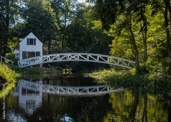 Fototapeta bridge over pond