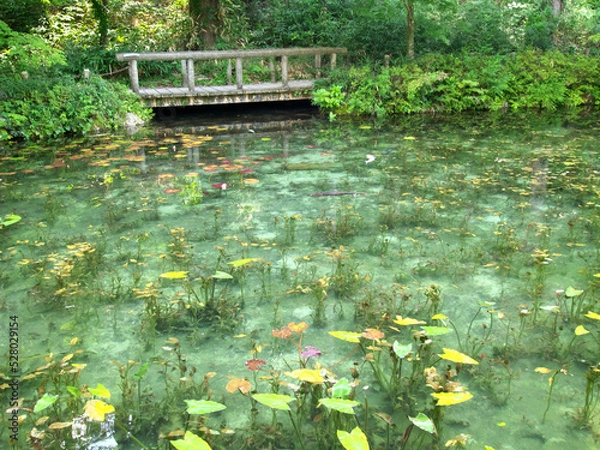 Obraz A pond with high transparency and a bridge for humans