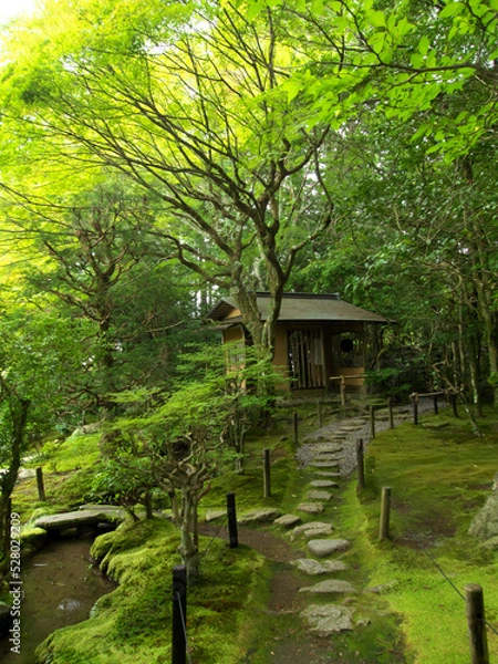 Obraz Japanese garden seen from near the surface of the stream