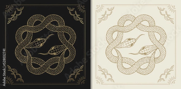 Obraz Two snakes are wrapped around each other to form a circle or star