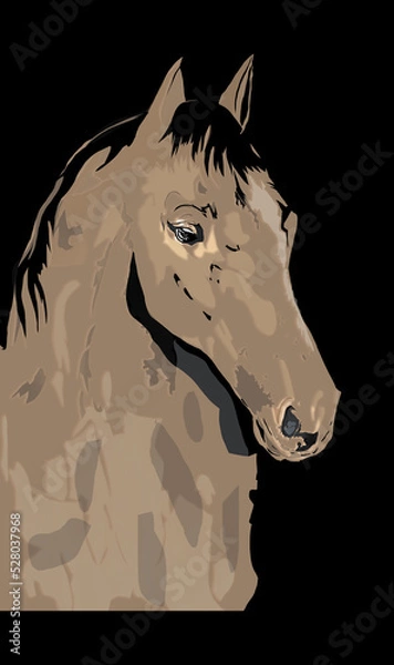 Fototapeta Horse, picture of a powerful stallion, in various colors and patterns