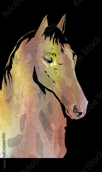 Fototapeta Horse, picture of a powerful stallion, in various colors and patterns