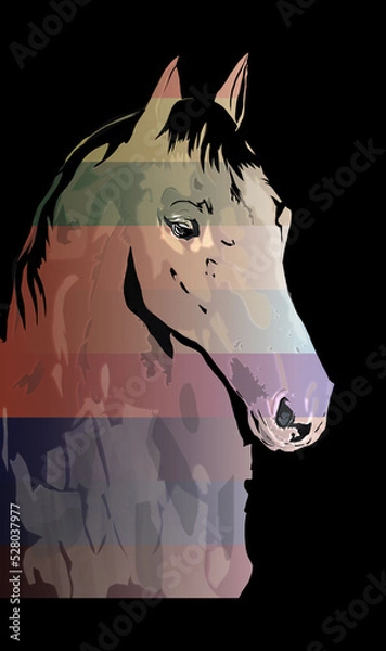 Fototapeta Horse, picture of a powerful stallion, in various colors and patterns