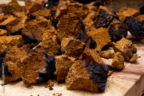 Obraz Closeup of dried and cut orange and black medicinal chaga mushroom from birch tree, used in alternative medicine on board.