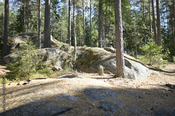 Fototapeta National Park in Finland Nuuksio -a journey in the greenery landscape of photos. Trees, forest, vegetation, lakes, ecoclimate, ecosystem 