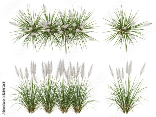 Fototapeta 3d Render Brush Tree Isolated  on white