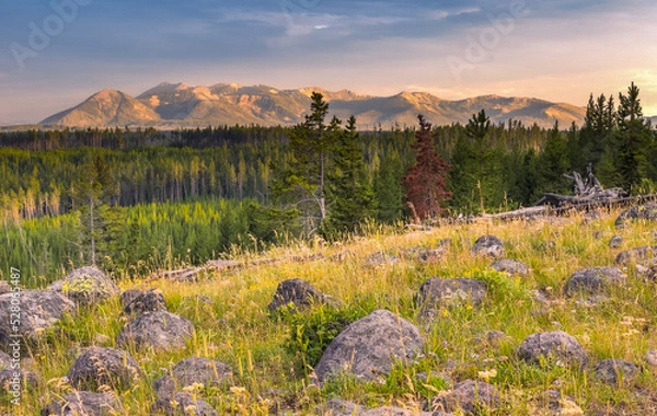 Obraz Yellowstone Sunset