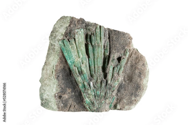 Obraz A sample of a natural mineral Beryl, Emerald (subclass of ring silicates) a bundle of elongated crystals in phlogopitic mica. Museum Mineral Series. Mineralogical sample on white
