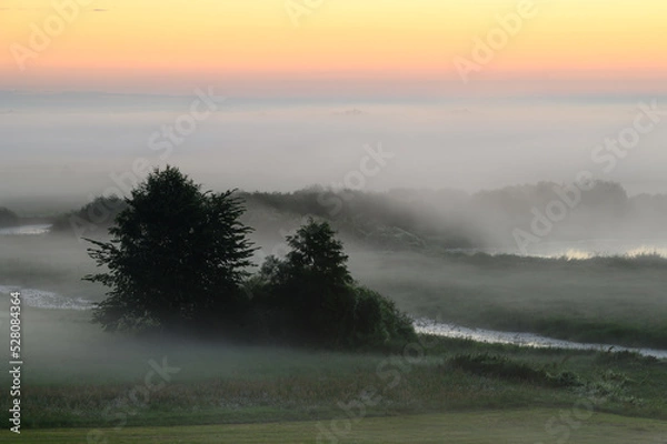 Obraz Mglisty wschód słońca