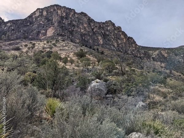 Fototapeta Landscapes