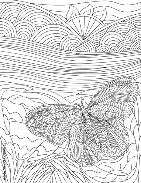 Obraz Butterfly Series 3