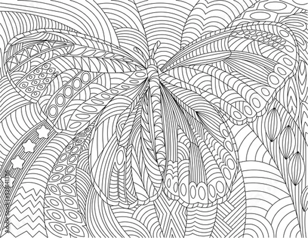 Fototapeta Butterfly Series 2