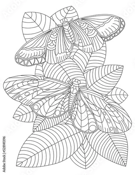 Obraz Butterfly Series 1