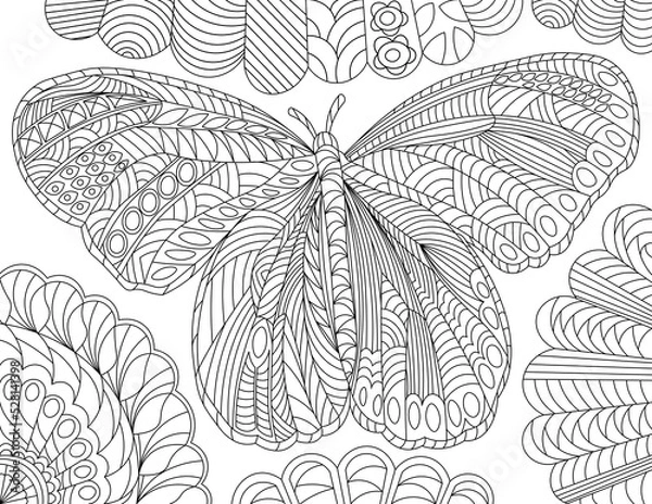 Obraz Butterfly Series 4