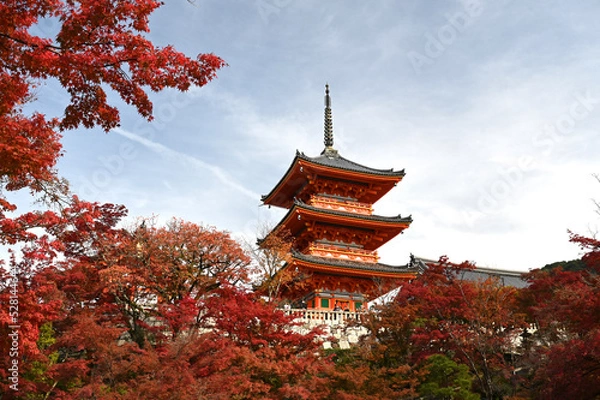 Fototapeta 秋の京都　清水寺の紅葉の風景