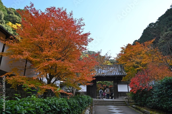 Fototapeta 秋の京都　南禅寺の紅葉の風景