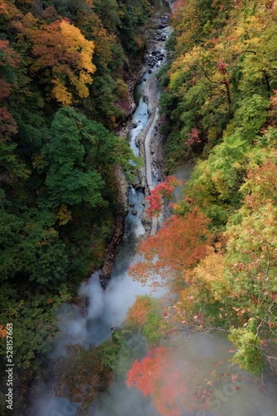 Fototapeta 小安峡の紅葉