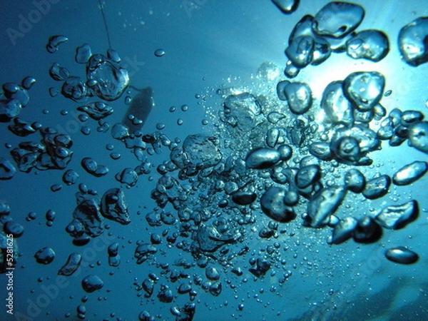 Obraz Bulles Marines