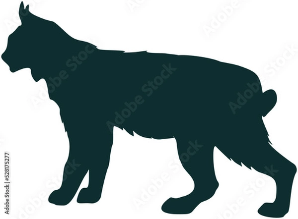 Obraz silhouette of a bobcat
