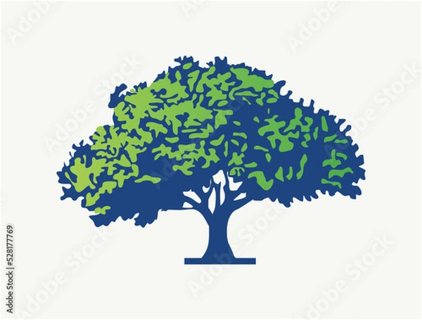 Obraz tree with colorful leaves