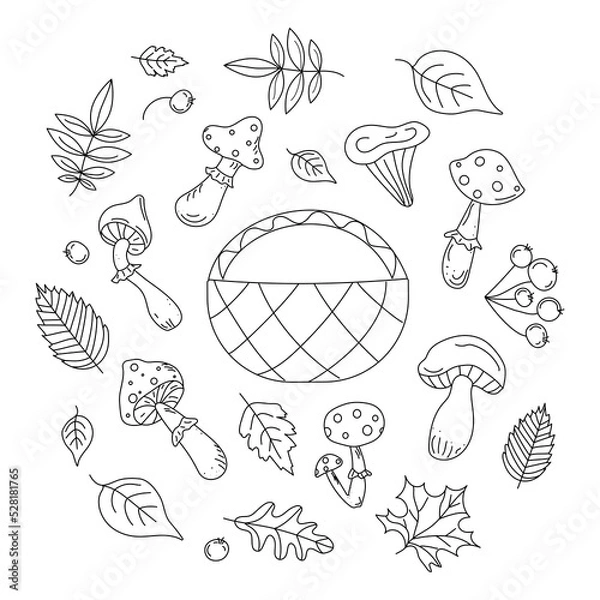 Fototapeta Mushrooms and leaves. Set  ,  vector icons in doodle style. Isolated elements for design, graphic drawings basket, mushrooms, berries, leaves in black outline.