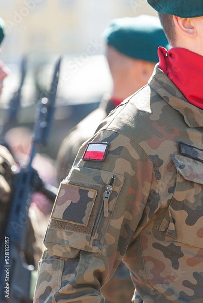 Obraz Wojsko polskie 