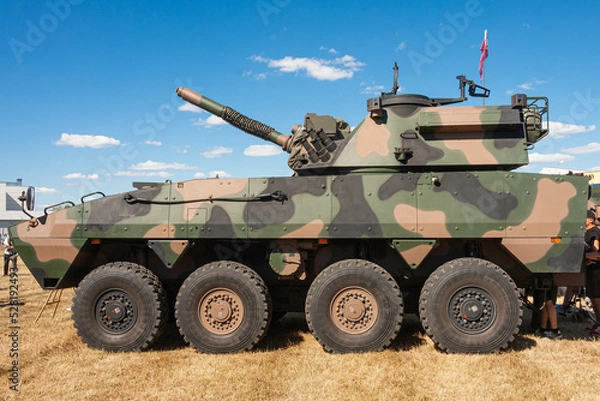 Obraz Moździerz Rak 