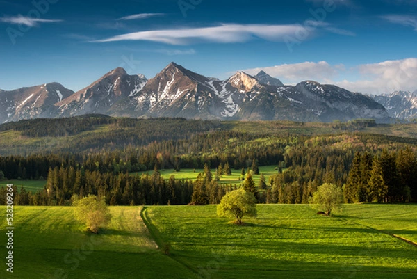 Fototapeta Tatra Mountains. View from the pass over Łapsznka. Mountains, meadows, fields, summer, Poland. Belianske Tatras. Tatry. Widok z Przełęcz nad Łapsznką. Góry, łąki, pola, Polska. Tatry Bielskie. Spisz