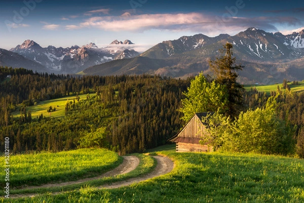 Fototapeta View of the Tatra Mountains, meadows, pastures, from Gliczarów Górny. Spring, Poland. Widok na Tatry, góry, łąki, hale, z Gliczarowa Górnego. Wiosna, Podhale, panorama, Tatry polskie, krajobraz