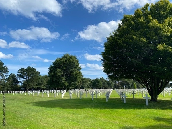 Obraz park in the park