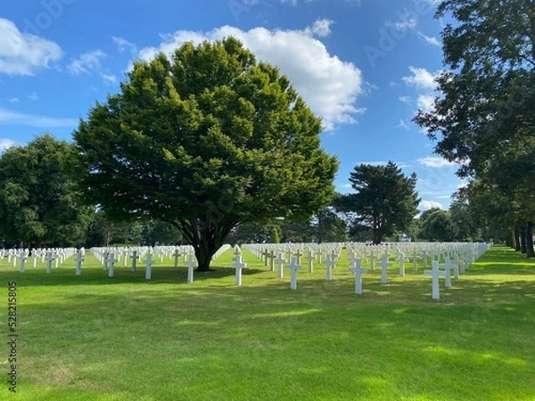 Obraz park in the park