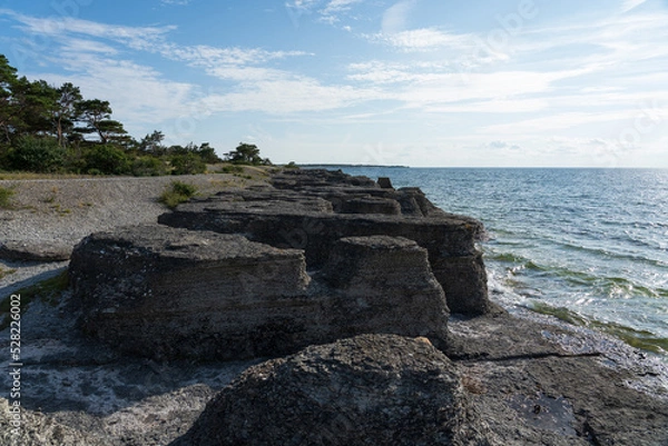 Fototapeta Byrums rakar, Öland, Sweden.