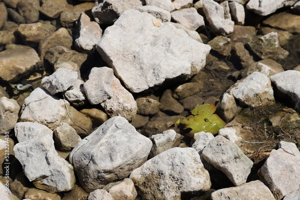Obraz Montagne et lac