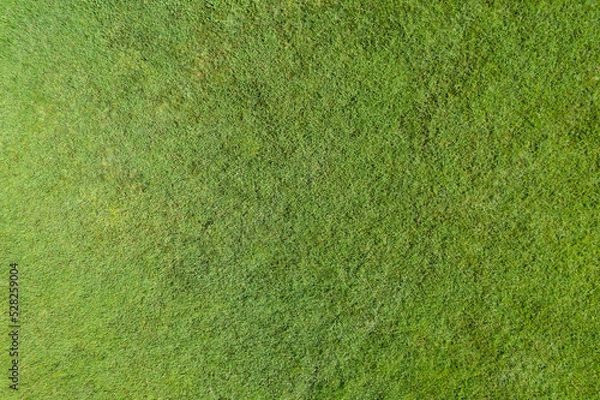 Fototapeta Green grass texture and background. Top view, drone, aerial view