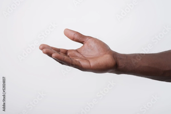 Obraz otwarta dłoń