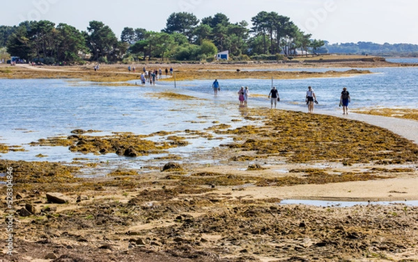 Obraz Passage Tascon