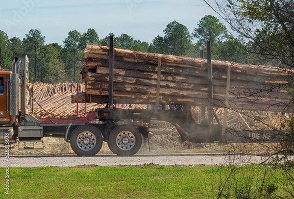 Fototapeta Logging Truck