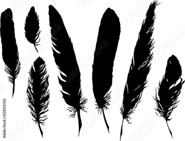 Fototapeta Silhouette black and white monochrome feather set isolated art