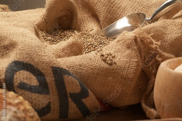 Obraz Getreide im Sack
