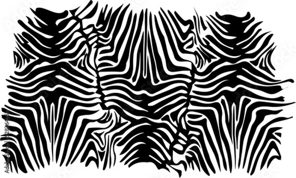 Fototapeta zebra skin abstract background african safari vector pattern