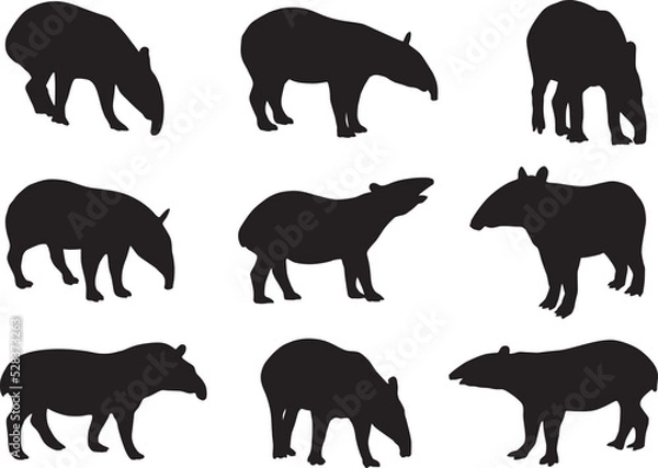 Obraz tapir silhouette