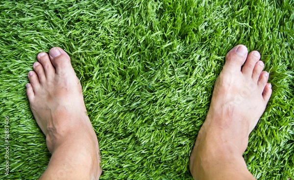 Fototapeta Beautiful green grass pattern